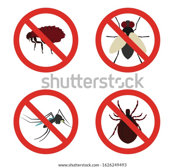 Warning Insect Symbol Garden Stock Vector (Royalty Free) 1626249493 ...