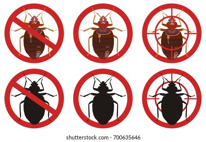 Warning Stop Signs With Colored Detailed Image Of An Bedbug And Its Black Silhouette Inside Red Sign On White Background. Fighting Insect Pests.