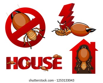  warning and stop termite icon isolated on white background. vector illustration.