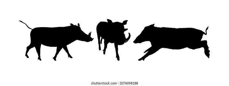 Warthog family vector silhouette illustration isolated on white background. Bush Pig. Wild boar symbol. African boar, desert warthog icon. Wild animals of Africa. Savannah nature wildlife. Pumba hog