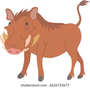 The warthog isolated on white background