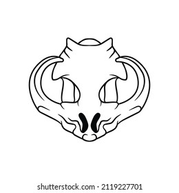 Warthog skull vector illustration. Warthog drawing