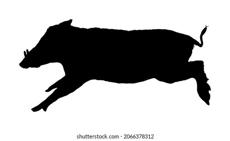 Warthog vector silhouette illustration isolated on white background. Bush Pig. Wild boar symbol. African boar isolated, desert warthog icon. Wild animals of Africa. Savannah nature wildlife. Pumba hog