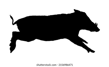 Warthog vector silhouette illustration isolated on white background. Bush Pig. Wild boar symbol. African boar isolated, desert warthog icon. Wild animals of Africa. Savannah nature wildlife. 