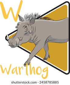 Warthog is a wild member of the pig family found in grassland, savanna, and woodland in sub-Saharan Africa. They are largely herbivorous, but occasionally also eat small animals.