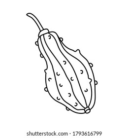 Warty or pimpled gourd in doodle style. Pear shaped pumpkin. Isolated outline. Hand drawn vector illustration in black ink on white background. Great for coloring books. Farming garden theme.