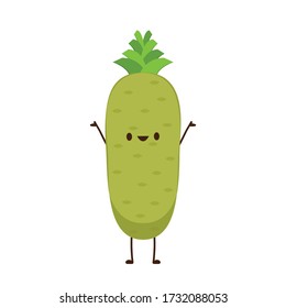 Carácter raíz de Wasabi. Raíz Wasabi sobre fondo blanco.