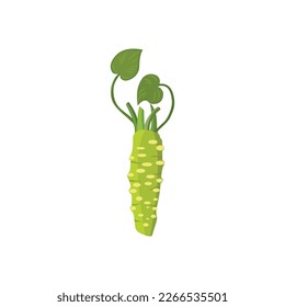 Wasabi. Wasabi root. Wasabi plant with roots and leaves. Traditional asian food condiment. Vector illustration isolated on white background. For template label, packing, web, menu, logo, textile, icon