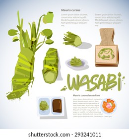 wasabi root or plant set. grated fresh wasabi by shark skin grater. infographic. sashimi. typographic for header design - vector illustration