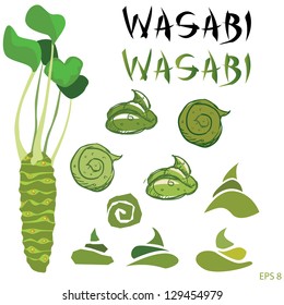 Wasabi root or plant set vector