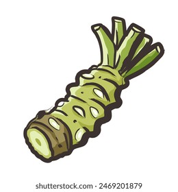 wasabi root, raw wasabi for japanese foodWhole and half wasabi (Japanese horseradish) isolated on white background. vector illustration