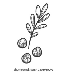 Wasabi root, slice , sauce spill, peas vector drawing. Hand drawn sushi ingredient sketch. Traditional asia food condiment. Great for template label, packing