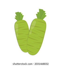 Wasabi root vector. Wasabi root on white background.