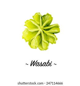 Wasabi vector isolated illustration