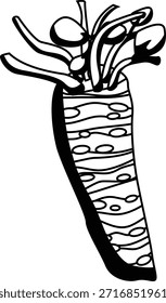 Wasabi vegetable mono shadow illustration