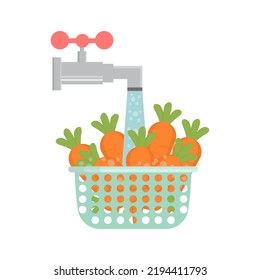 Wash fresh carrots for cooking. Clean vegetable under water in basket with tap. Healthy food. Vector illustration.