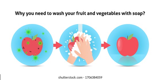 Wash fruits steps. Hands holding apple under water tap. Arm in foam soap bubbles washing food. Vector illustration flat design isolated on background. Hygiene, desinfection, washing vegetables. Antiba