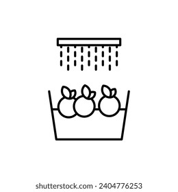 Wash fruits vector line icon illustration