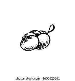 The washcloth is drawn by hand. Vector. Spa Supplies. For shower. The concept of purity and purification
