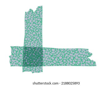 washi tape with wild print. colored patterned washi tape isolated on a white background.
