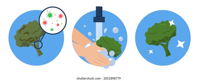 Washing broccoli concept vector isolated. Dirty vegetable full of bacteria before and clean product after washing in the water. Hands wash broccoli with soap.