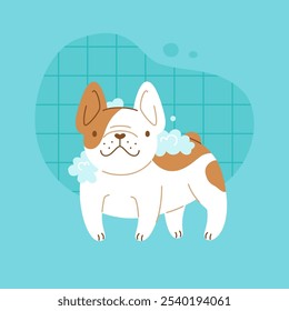 Lavar um cachorro com xampu. Filhote de cachorro vetor de desenhos animados em espuma de sabão. Bulldog francês bonito toma banho.
