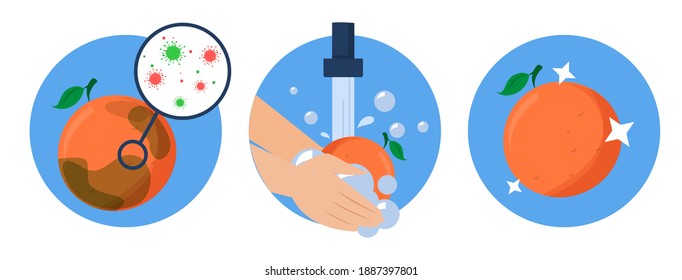 Washing grapefruit concept vector isolated. Dirty fruit full of bacteria before and clean product after washing in the water. Hands wash orange with soap.