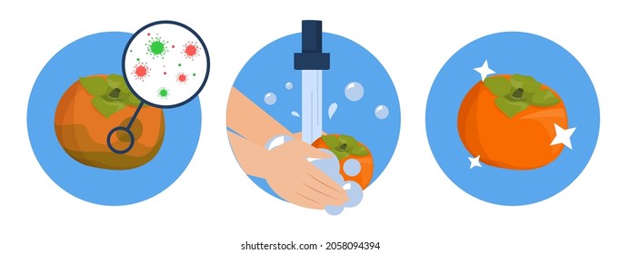 Washing persimmon concept vector isolated. Dirty fruit full of bacteria before and clean product after washing in the water. Hands wash persimmon with soap.