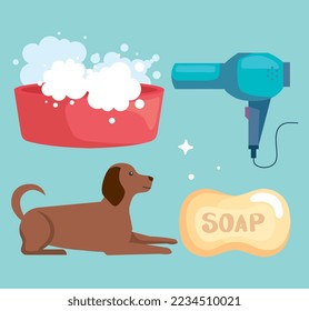 Washing pet icon collection on blue background