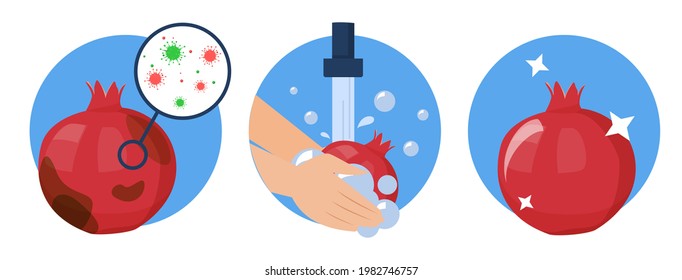 Vector de concepto de granada de lavado aislado. Frutos sucios llenos de bacterias antes y producto limpio después de lavarse en el agua. Lávese las manos con jabón.