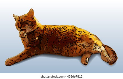 Washing relaxing ginger cat vector