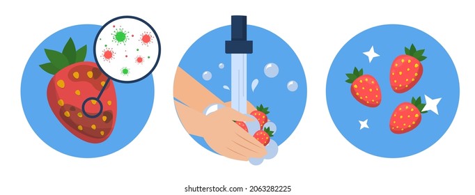 Washing strawberry concept vector isolated. Dirty berry full of bacteria before and clean product after washing in the water. Hands wash red berry with soap.