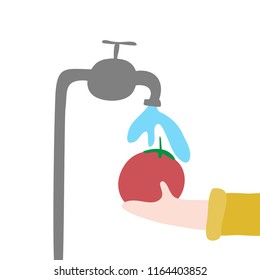 washing vegetables. clean and healthy food .vector illustration