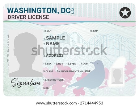 Washington, DC driver license isolated on white background. Person driver license