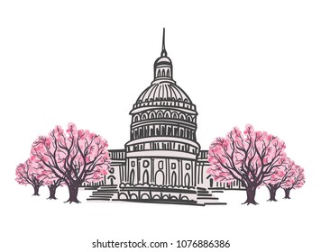 Washington DC landmarks hand drawn vector illustration, capitol building surrounded by blooming cherry trees. Sketch style, minimalistic palette.