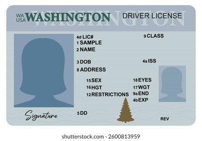 Washington driver's license with female silhouette isolated on white background. Person driver license.