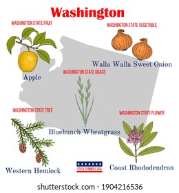 Washington. Set of USA official state symbols. Vector hand drawn illustration