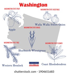 Washington. Set of USA official state symbols. Vector hand drawn illustration