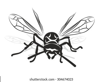 Wasp.