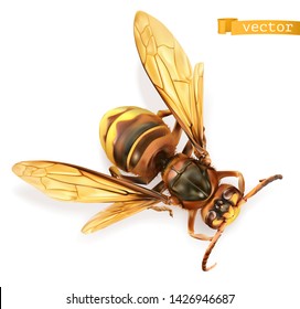 Abeja, abeja, avispón. 3.ᵉʳ vector realista