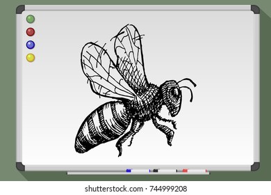Wasp, bee, hornet illustration. Hand drawn vector image on whiteboard