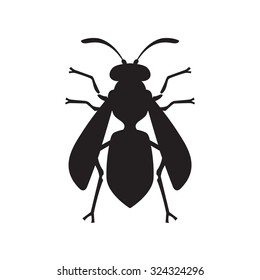 Wasp Bee Hornet vector illustration - set of household pests in pure style