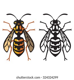 Wasp Bee Hornet vector illustration - set of household pests in pure style