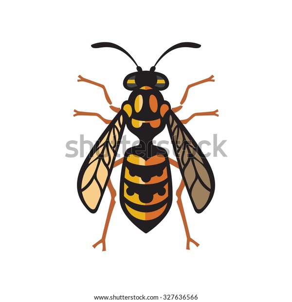 Wasp Bee Hornet Vector Illustration Set Stock Vector (Royalty Free ...