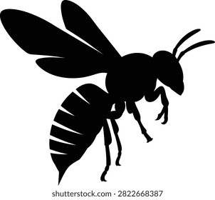 Wasp, bee, insect, flying, wings, stinger, nature, wildlife.