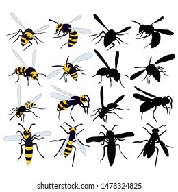 wasp, bee, insect, set, collection