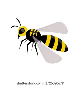 wasp, bee, insect vector. Illustration for printing, backgrounds, icon web, mobil design, wallpapers, covers, packaging, posters, stickers, textile and seasonal design. Isolated on white background.