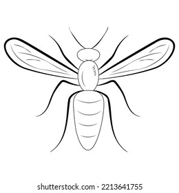 Wasp bee outline. insects bee, wasp, bumblebee. Esoteric, spiritual, wiccan occult concept.