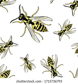 Wasp bee outline realistic seamless pattern. Vector graphic illustration. Summer vector illustration. Coloring book. Hand realistic drawing. Cartoon Insects: bee, wasp, bumblebee, hornet - in contours