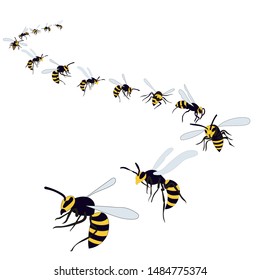 wasp, bees fly on a white background